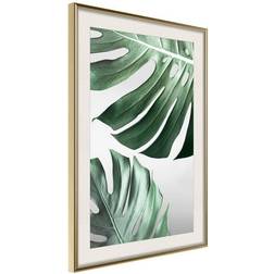 Arkiio Affisch Monstera Leaves [Poster] 20x30 Poster